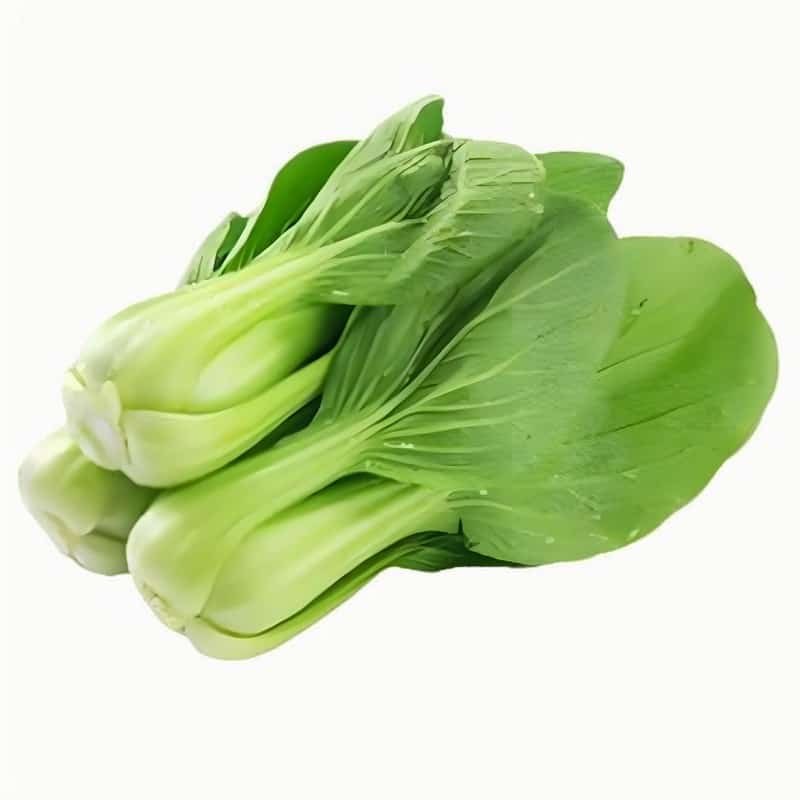 工厂蔬菜配送需求与解决方案