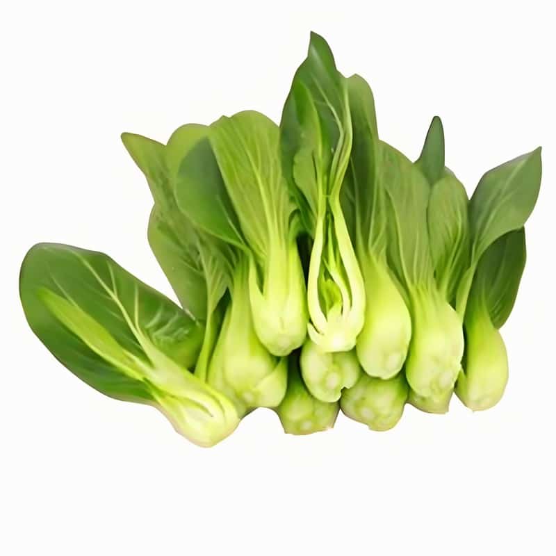工厂蔬菜配送需求的探索与选择
