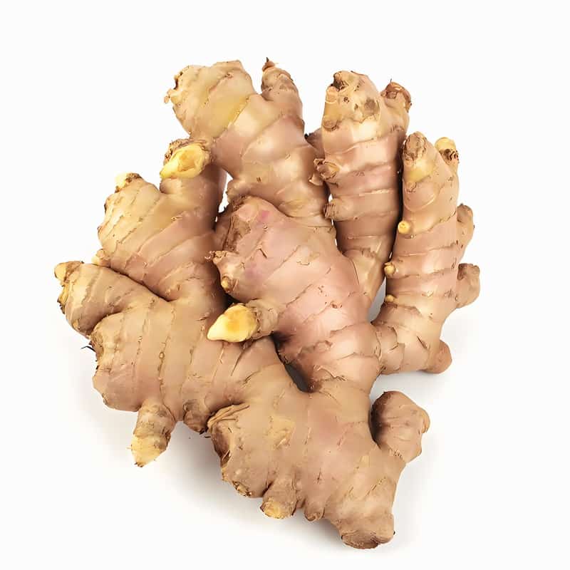 市区蔬菜配送与价格问题研究