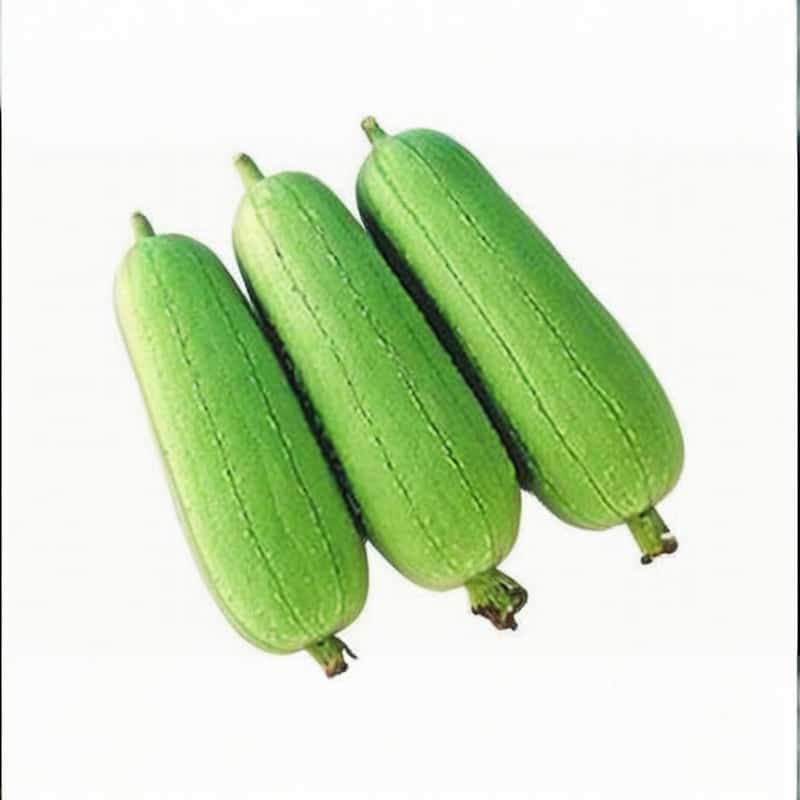 快餐店经营中的蔬菜与副食品配送之道
