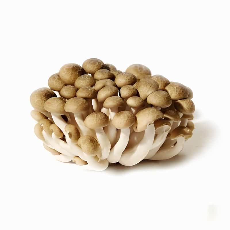 蔬菜配送：保障单位食堂食材供应的关键力量