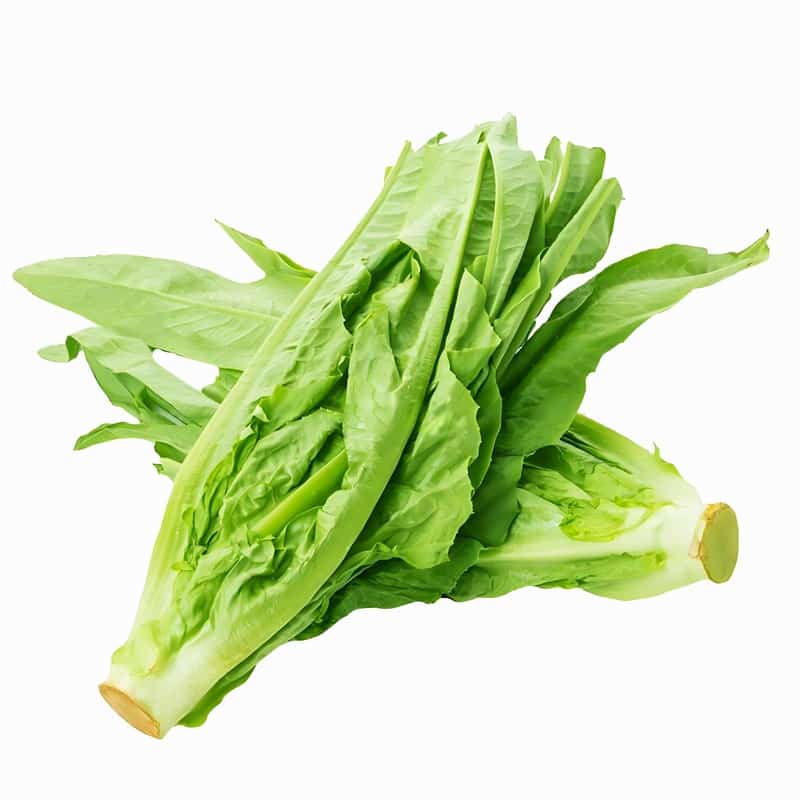 蔬菜配送：新鲜直达，守护健康生活