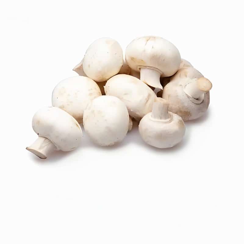 蔬菜知识与食材配送流程分享