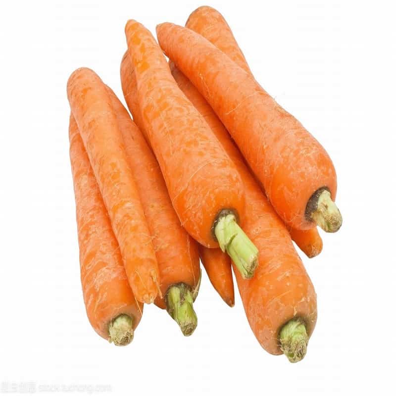 蔬菜配送的优质之选
