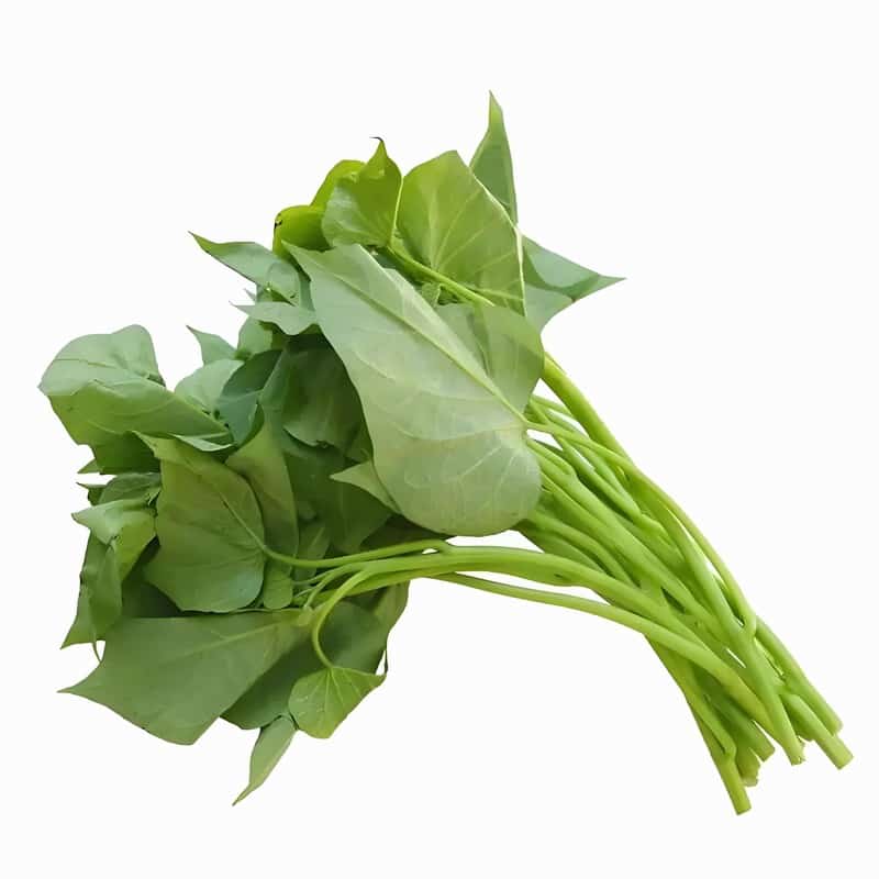 蔬菜配送相关问题解析