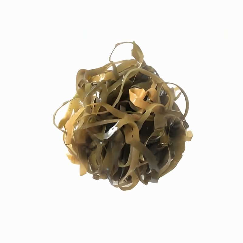 蔬菜配送行业的财务洞察与发展展望