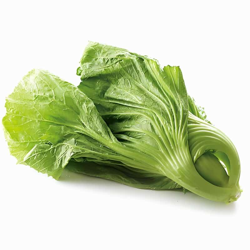 蔬菜配送上门与东莞食品公司的行业洞察