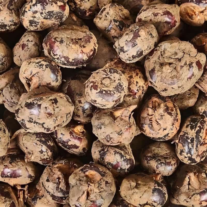 预制菜与食材配送：坚守品质的使命
