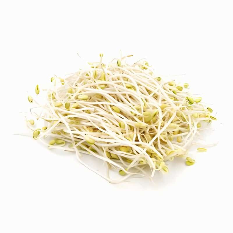 绿豆芽